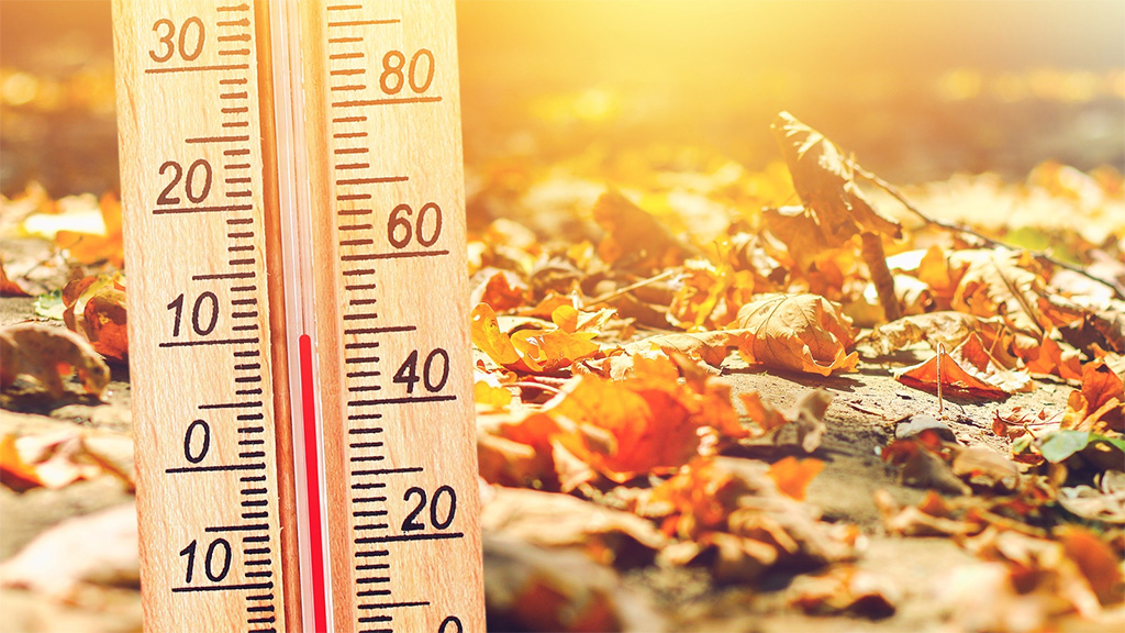 В Коломне 30 октября побит температурный рекорд